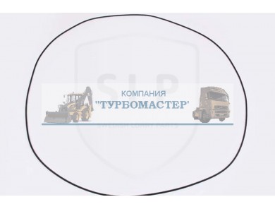 Кольцо уплотнительное OR-5555