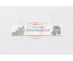 Кольцо уплотнительное BR-098