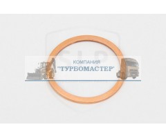 Кольцо уплотнительное BR-423