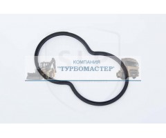 Прокладка термостата EPL-55952