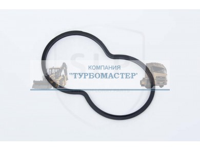 Прокладка термостата EPL-55952