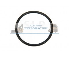 Кольцо уплотнительное OR-0899