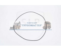 Кольцо уплотнительное OR-6101