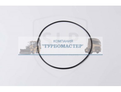 Кольцо уплотнительное OR-790