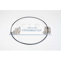 Комплект уплотнения поршня RSW-387