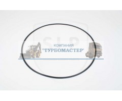 Комплект уплотнения поршня RSW-387