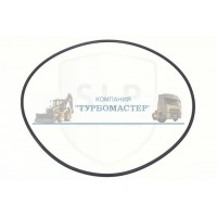 Уплотнение резиновое влажных тормоз RSW-503