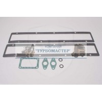 Набор прокладок промежуточного охла TAGS-311