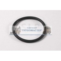 Кольцо уплотнительное TR-197