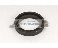 Кольцо уплотнительное TR-366